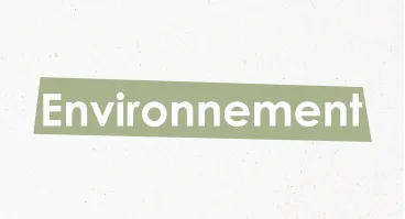 Pilier Environnement de l'entreprise à mission