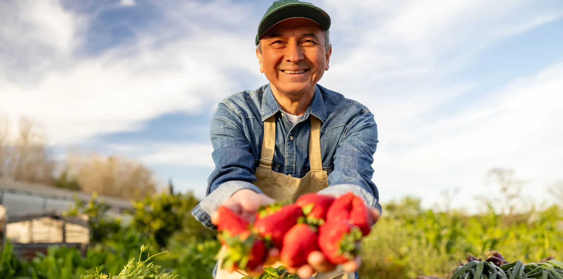 producteur légumes