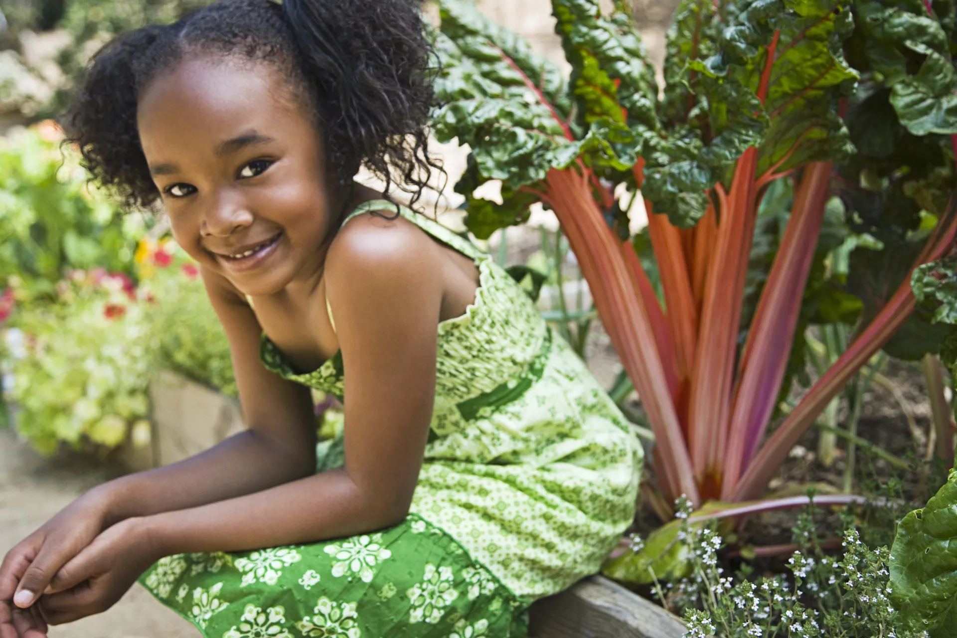 image enfant rhubarb