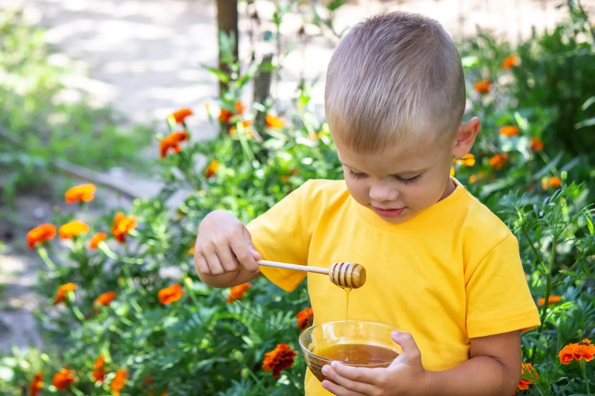 enfant avec un bol de miel