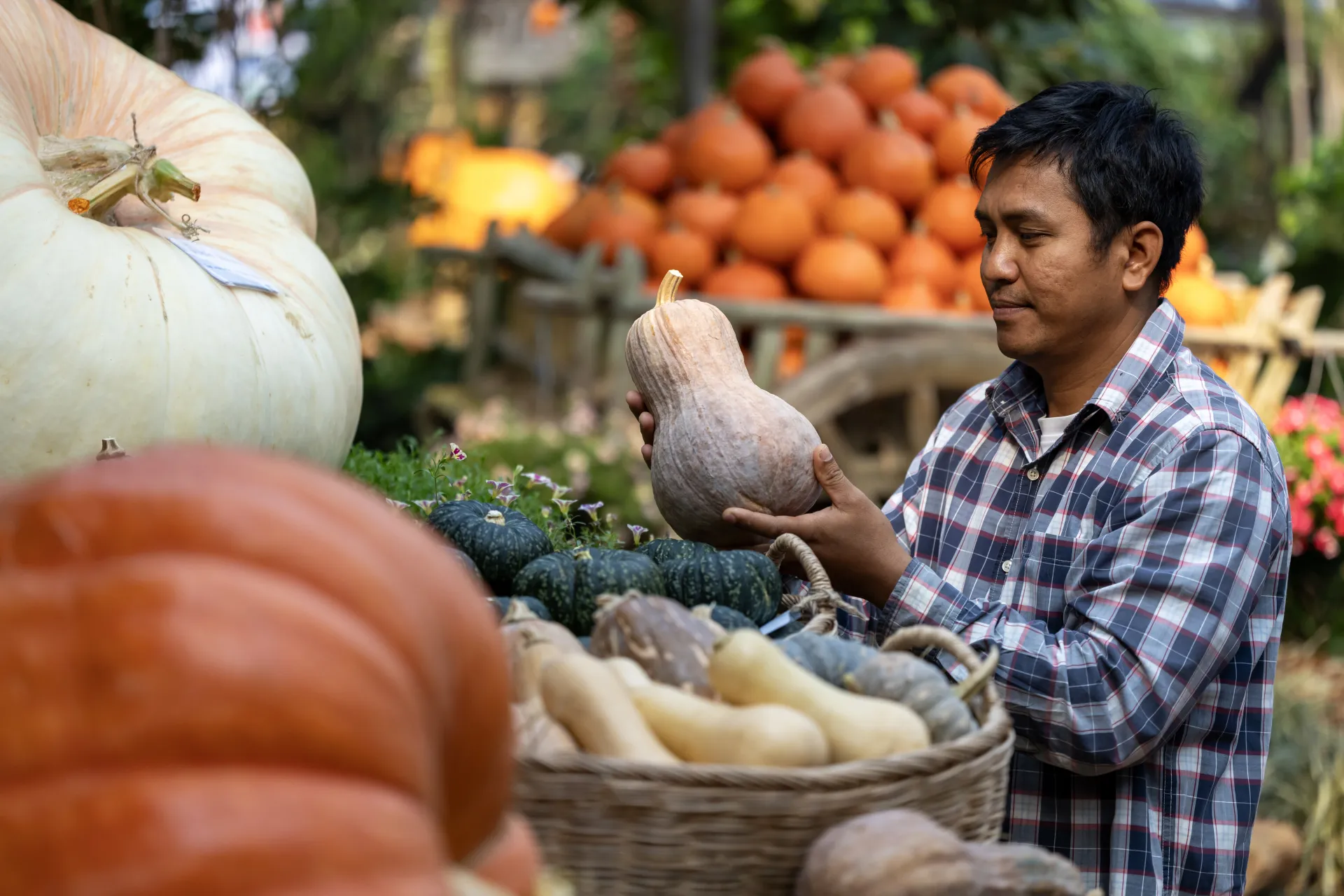 maraîcher légumes courges
