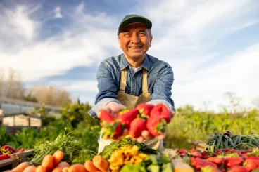 producteur légumes