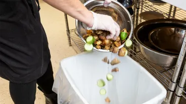 Assiette vidée dans une poubelle, gaspillage alimentaire