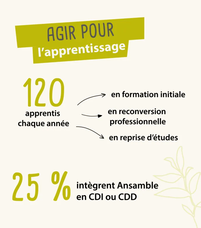 Les chiffres de l'apprentissage chez Ansamble